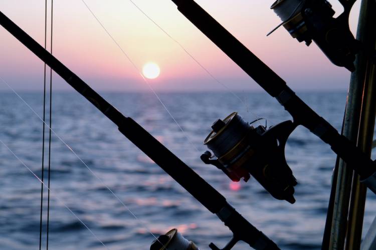 A fishing pole at sunset A fishing pole at sunset