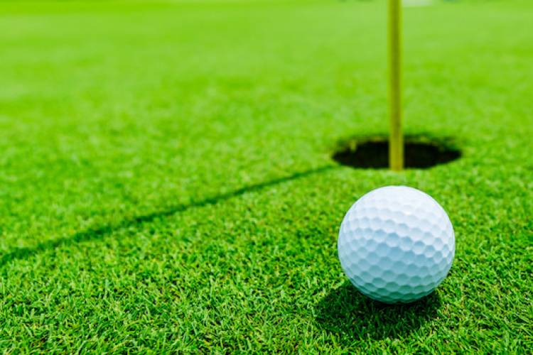 golf course golf course